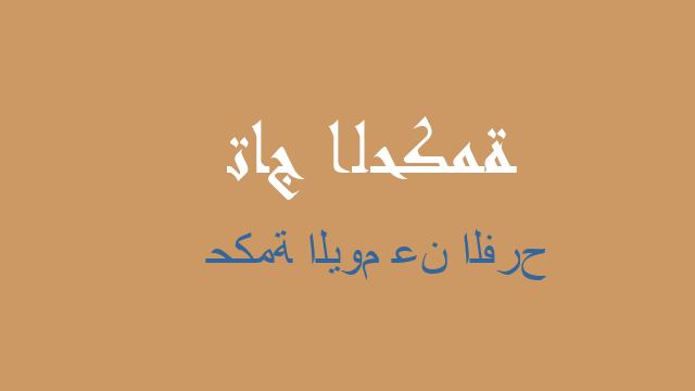 حكمة اليوم عن الفرح