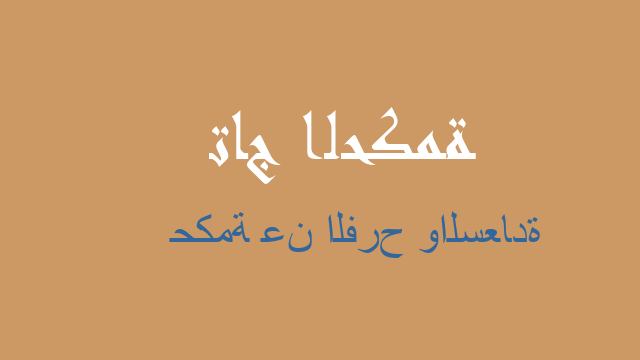 حكمة عن الفرح والسعادة