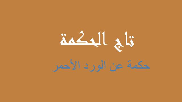 حكمة عن الورد الأحمر