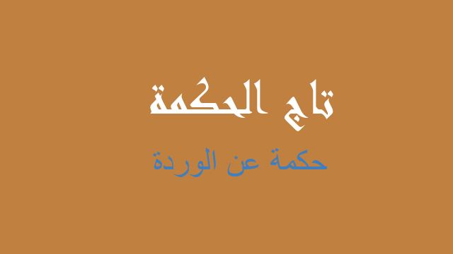 حكمة عن الوردة
