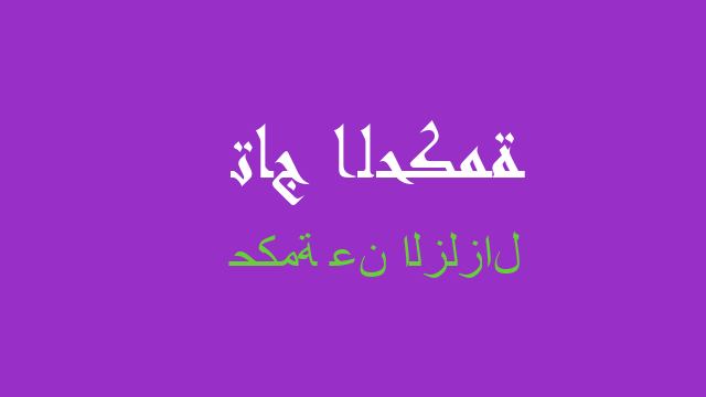 حكمة عن الزلزال
