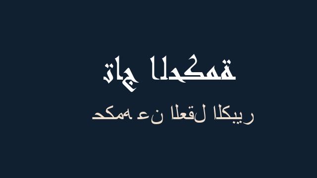 حكمه عن العقل الكبير