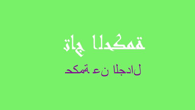 حكمة عن الجدال
